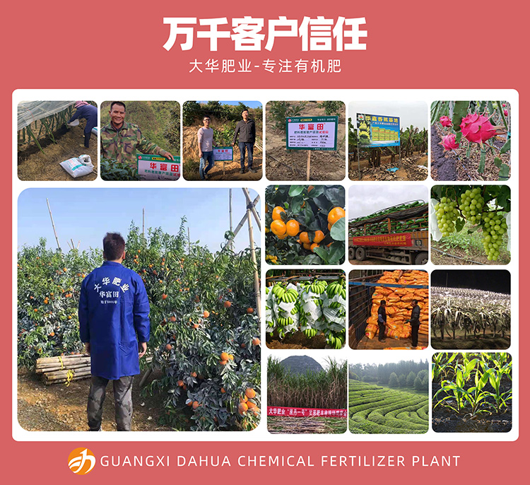 植物蛋白型有機肥料