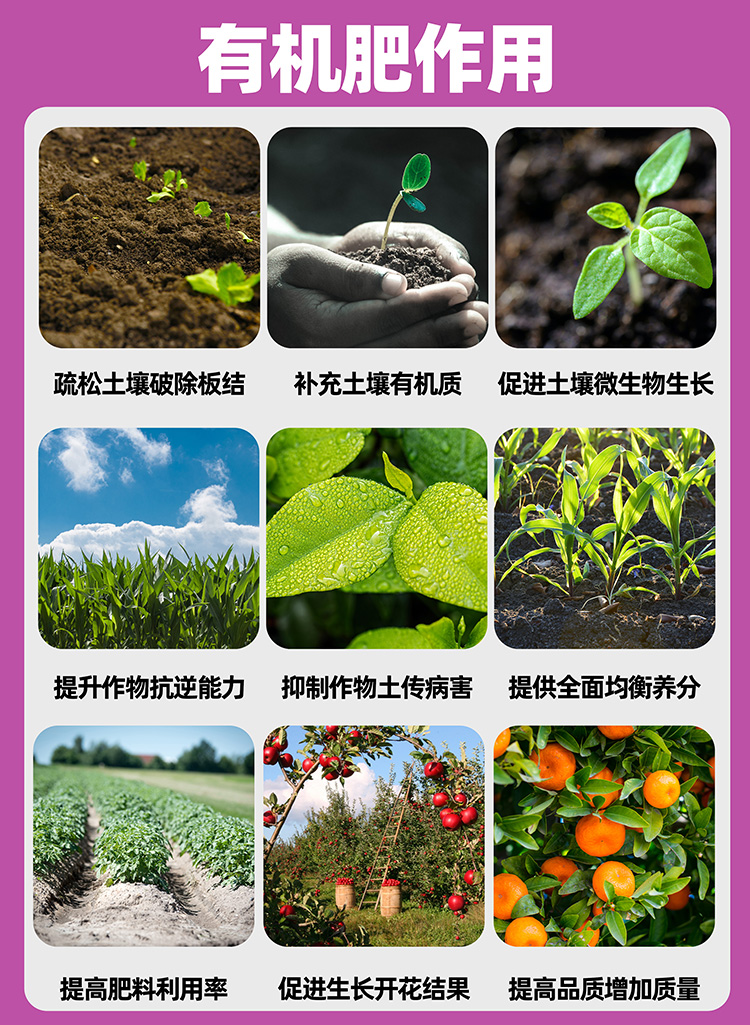 微生物菌肥