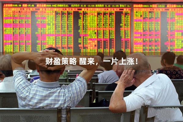 财盈策略 醒来，一片上涨！
