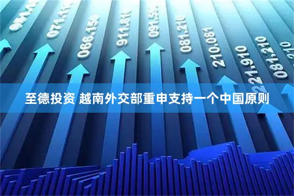 至德投资 越南外交部重申支持一个中国原则